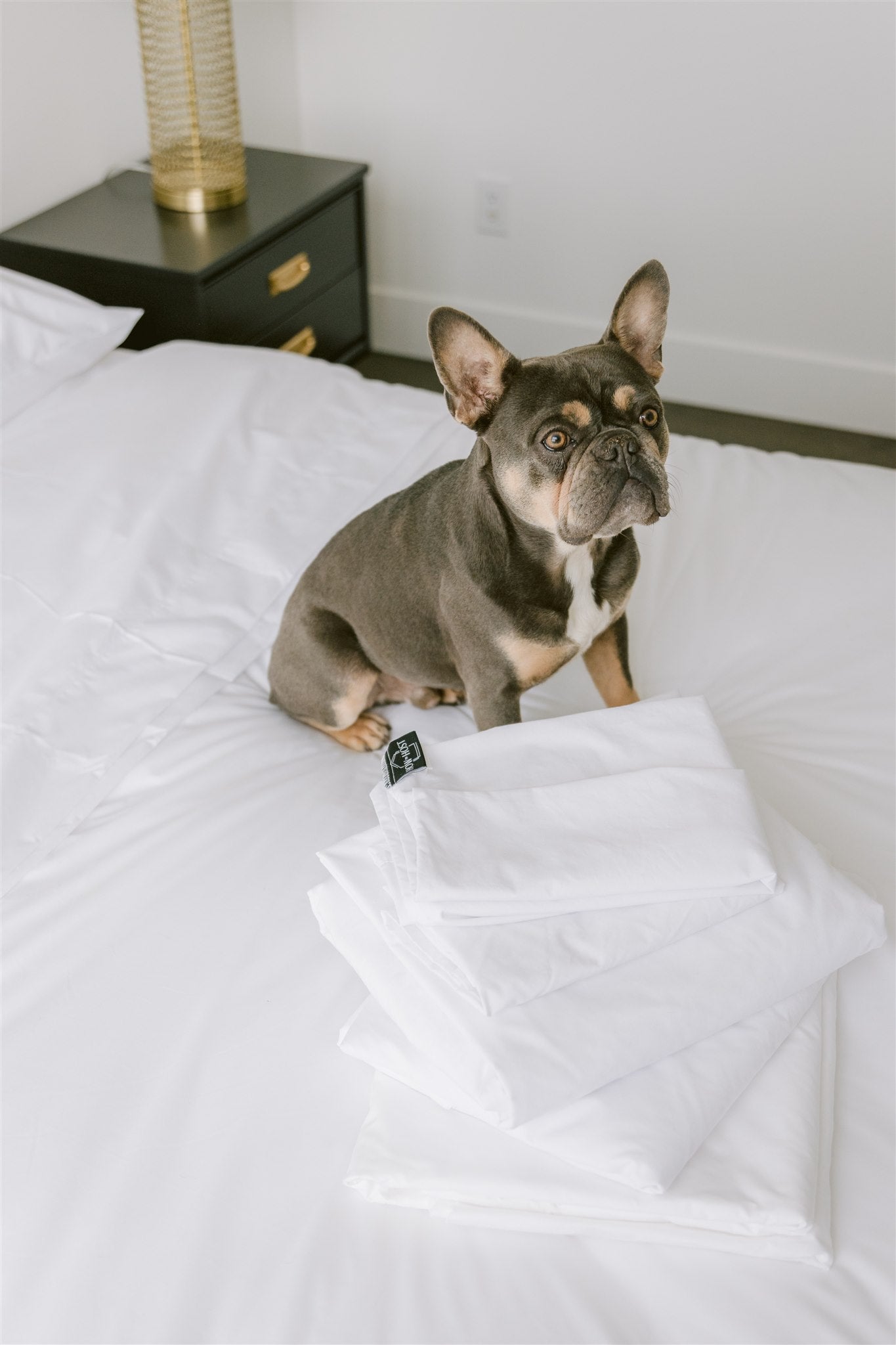 Percale Blend Sheet Set